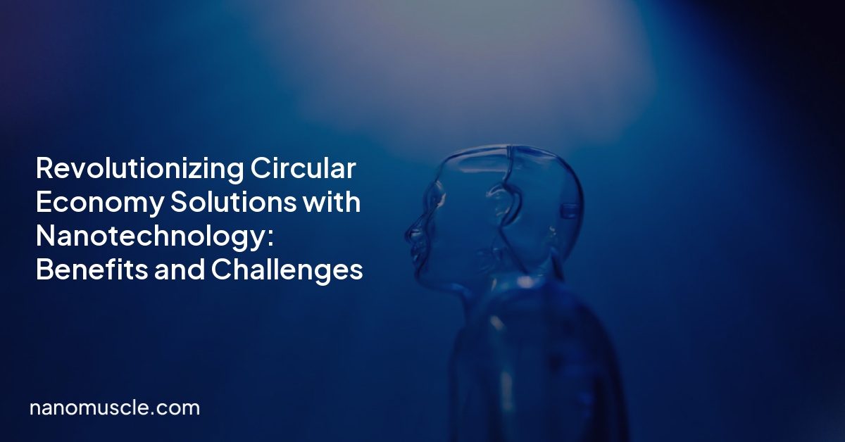 Revolutionizing Circular Economy Solutions with Nanotechnology: Benefits and Challenges